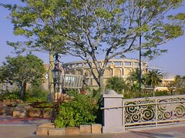 19991116_004 null