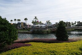 20181208_113114 null
