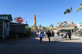 20220214_094335 null
