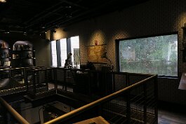 20230409_133256 null