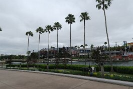 20230409_132816 null