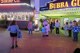 20240224_204304 null