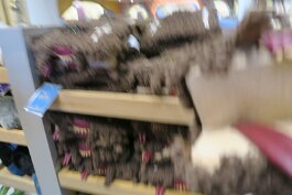 20250911_104435 null