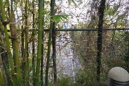 20220211_164930 null