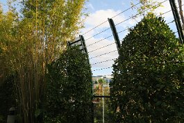 20220211_164937 null