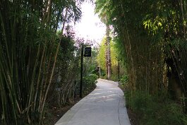 20220211_165117 null