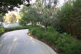 20220211_165119 null