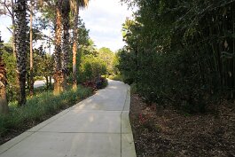 20220211_165151 null