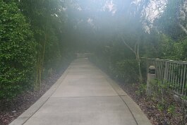 20240912_084118 null