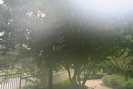 20240912_084153 null