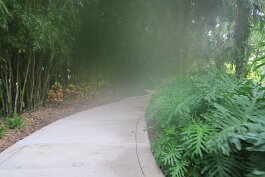 20240912_084519 null