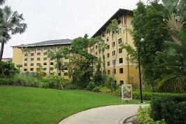 20240912_084738 null