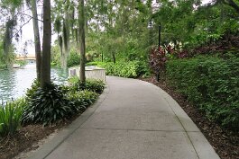 20240912_085024 null