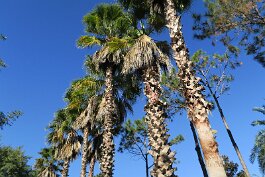 20220214_092533 null