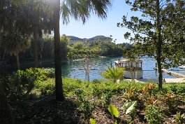 20220214_093005 null