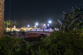 20220211_192842 null