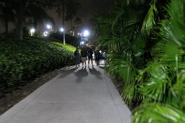 20220211_193041 null