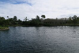 20201119_135121 null