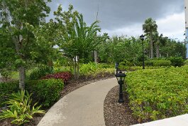 20230818_140140 null