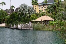 20230818_140636 null