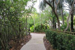 20230818_140917 null