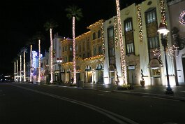 20231213_195055 null
