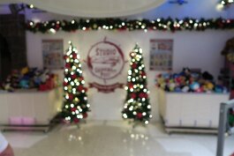 20231213_195458 null
