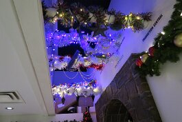 20231213_195518 null