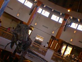 19991116_048 null