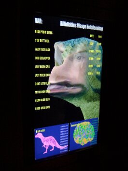 20061209_113838 null