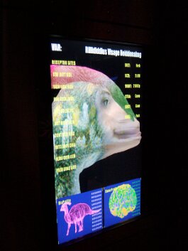 20061209_114156 null