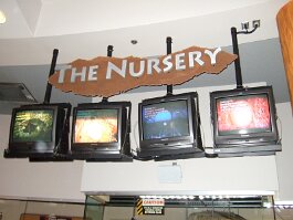 20061209_113223 null