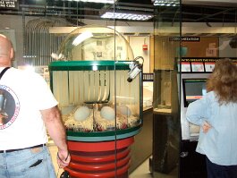 20061209_113228 null