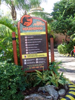 20061209_115107 null