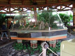 20061209_115130 null