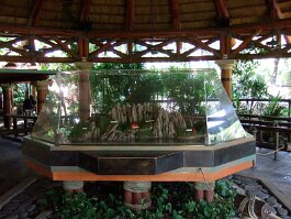 20061209_115141 null