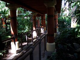 20061209_115321 null