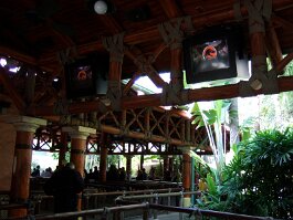 20061209_115339 null