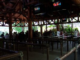 20061209_115349 null