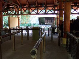 20061209_115356 null