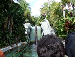 20061209_115643 null