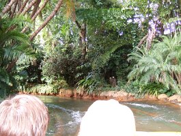 20061209_115735 null