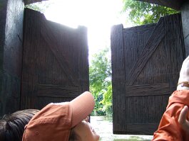 20061209_115804 null