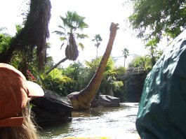 20061209_115825 null