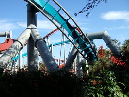 20061209_095013 null