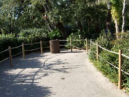 20061209_095100 null