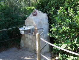 20061209_095118 null