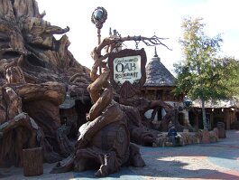 20061209_094844 null