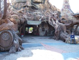 20061209_094855 null