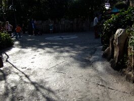 20061209_141446 null